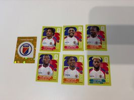 Panini Sticker WM 2016- Haiti (7Stück)