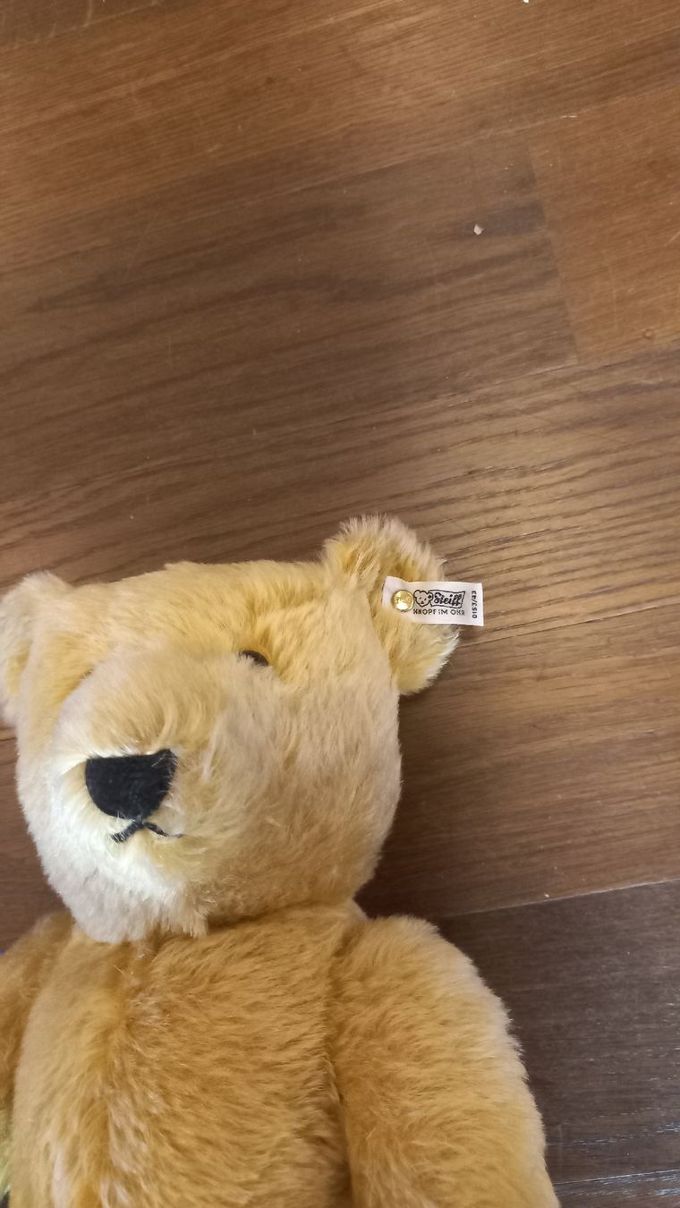 Steiff Spielzeuge: Teddybär Steiff – Neu (gemäss Beschreibung) aus Menziken von ursimat 2