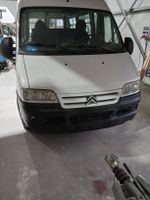 Citroen Jumper Bus 13 Pl., ab MFK 09.25   , Top Zustand!