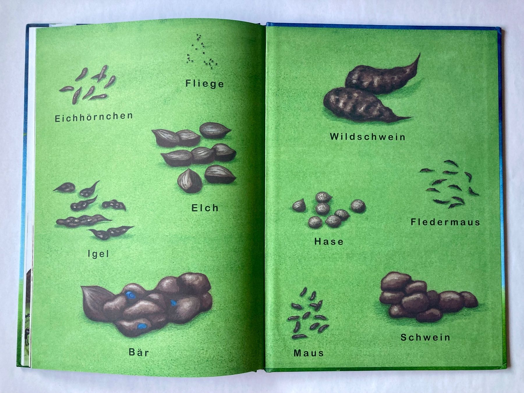 Livres: Bilderbuch: König Elch – Neuf (Voir description) à Bubendorf par Alpenheidi 9