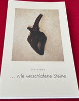 Nino Enderlin ... wie verschlafene Steine, Widmung 2007