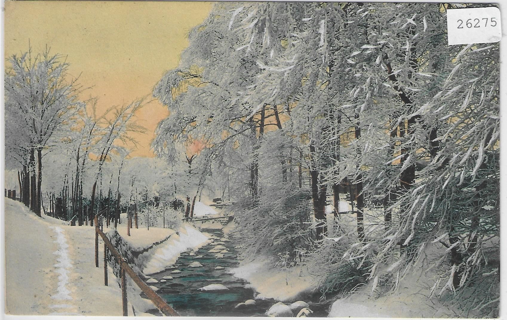 Cartoline postali: Winterlandschaft mit Rauhreif - Litho – Usato da Ettingen venduto da Kartenplanet