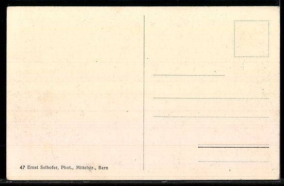 Cartoline postali: AK Bern, Aareziele und Badanstalt – Usato da Berlin venduto da bartko-reher 1