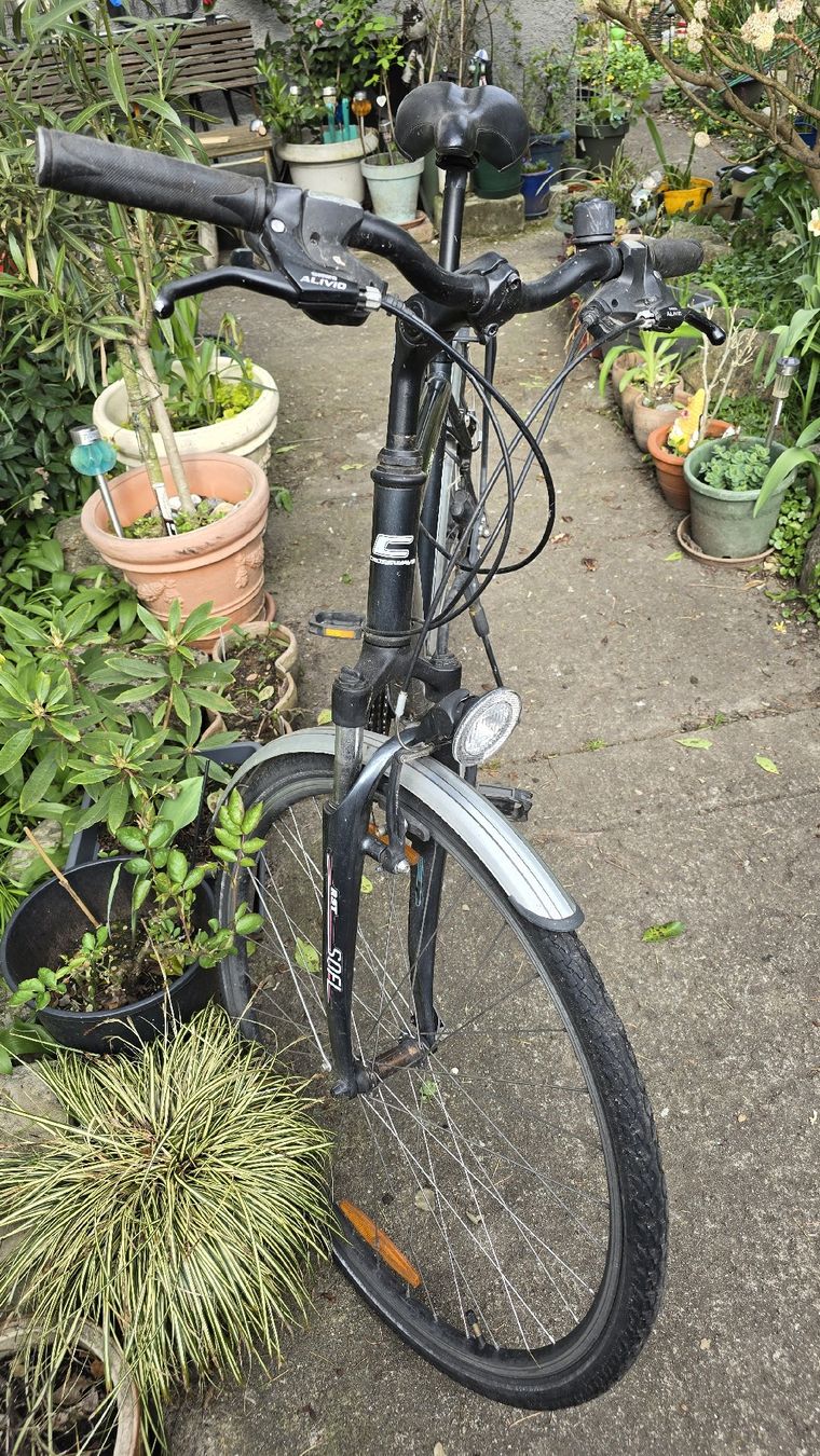 Crosswave Biciclette: Crosswave Cruiser, 52cm Rahmenhöhe – Usato da Muttenz venduto da pixopus 1
