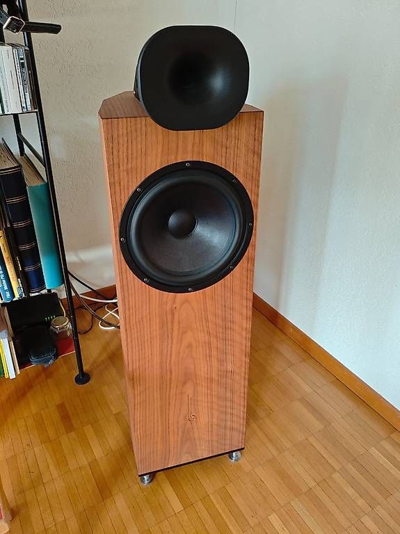 Casse acustiche: Blumenhofer Genuin FS 3MK 2 – Usato da Seltisberg venduto da simple88