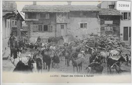 Depart des Chevres a Salvan - Ziegenherde
