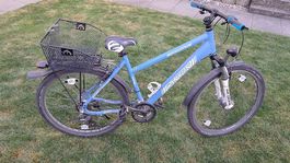 Canyon Speedplus 26"