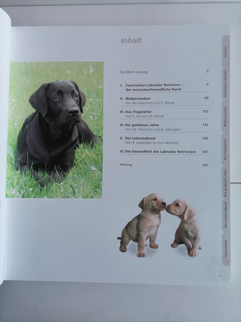 Bücher: Labrador Retriever / Rosemarie Wild / Muller 2011 – Gebraucht aus crans montana von AB3963 1