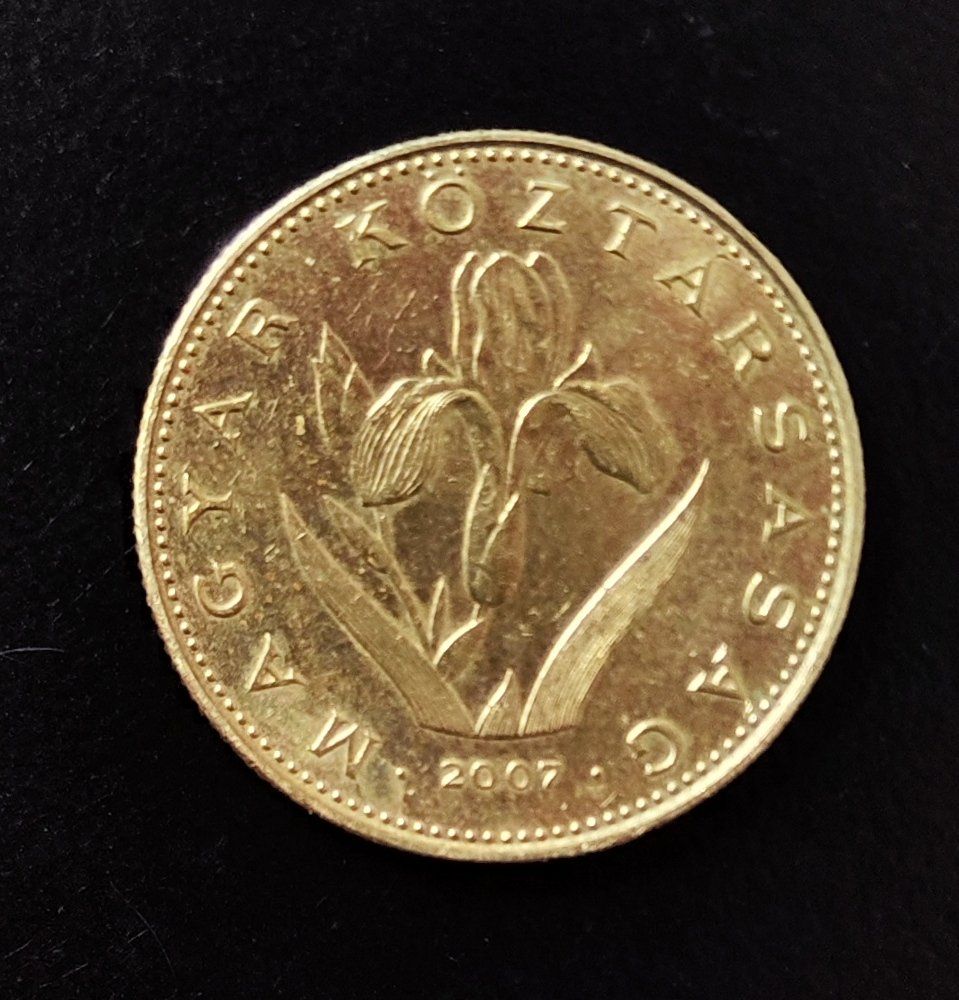 Tutti le monete: 20 Forint Münze Ungarn 2007 – Usato da Lenzburg venduto da Dani_Lenzburg 1