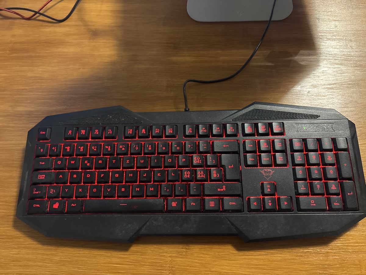 Trust Tastiere: Trust Gaming Keyboard Black used – Usato da Suhr venduto da Hdjdn