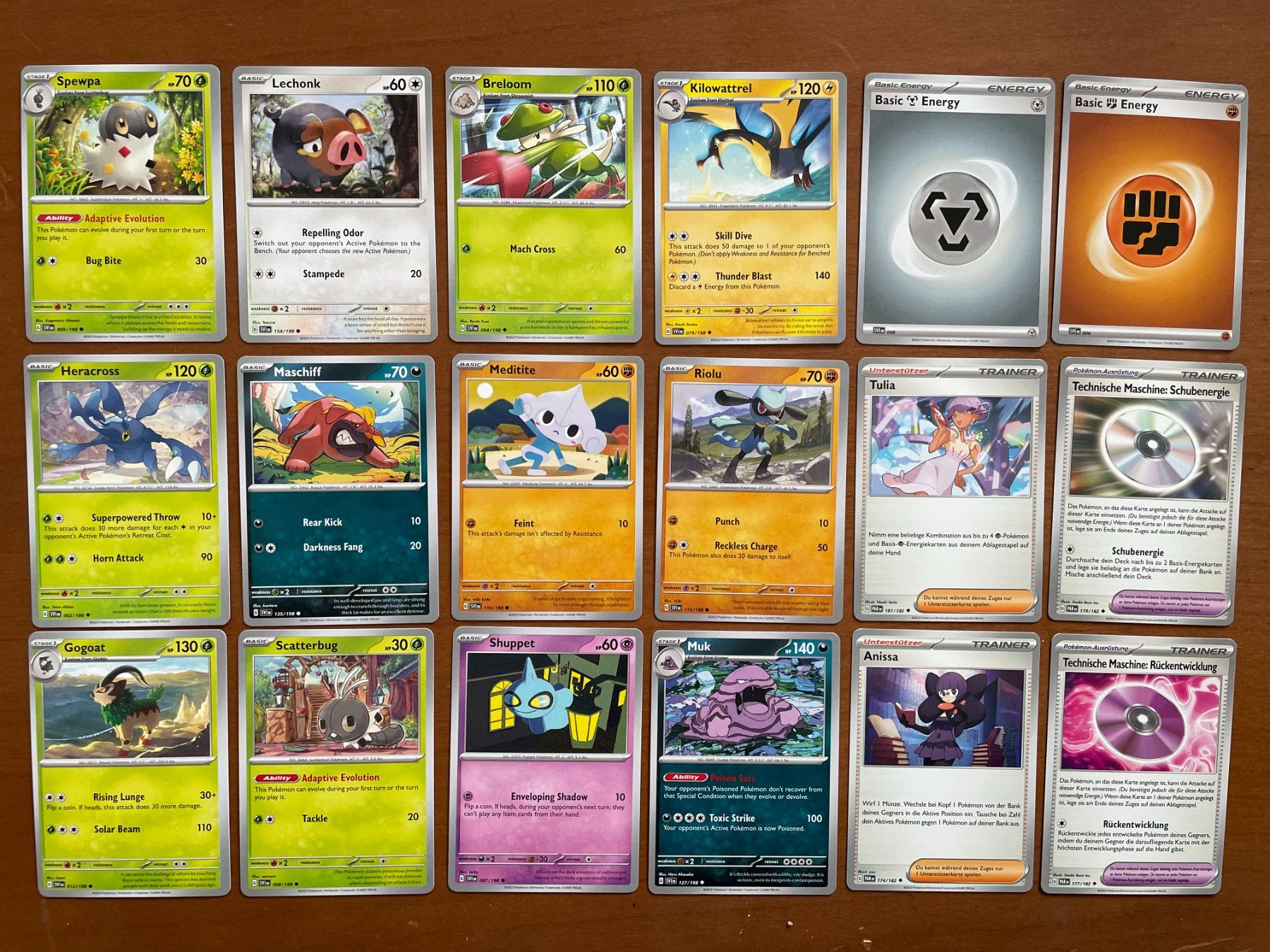 Pokémon Carte collezionabili: Pokemon Karten Set (Versand gratis) – Nuovo (secondo la descrizione) da Chur venduto da Angerson