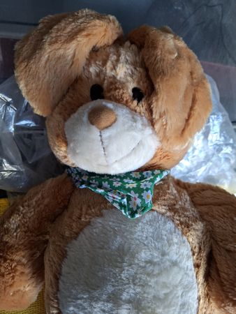 Neuwertiger Kuschelhund sucht neues Zuhause! Top Zustand!