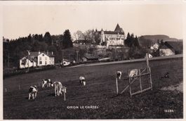 Oron Le Châtel 1931