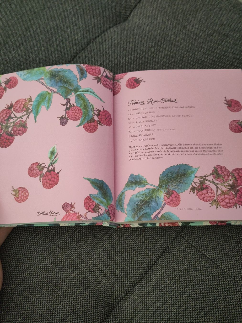 Libri: Buch: Cocktail Garten – Nuovo (secondo la descrizione) da Dübendorf venduto da Cocochala8 2