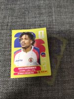 panini HAI 4 