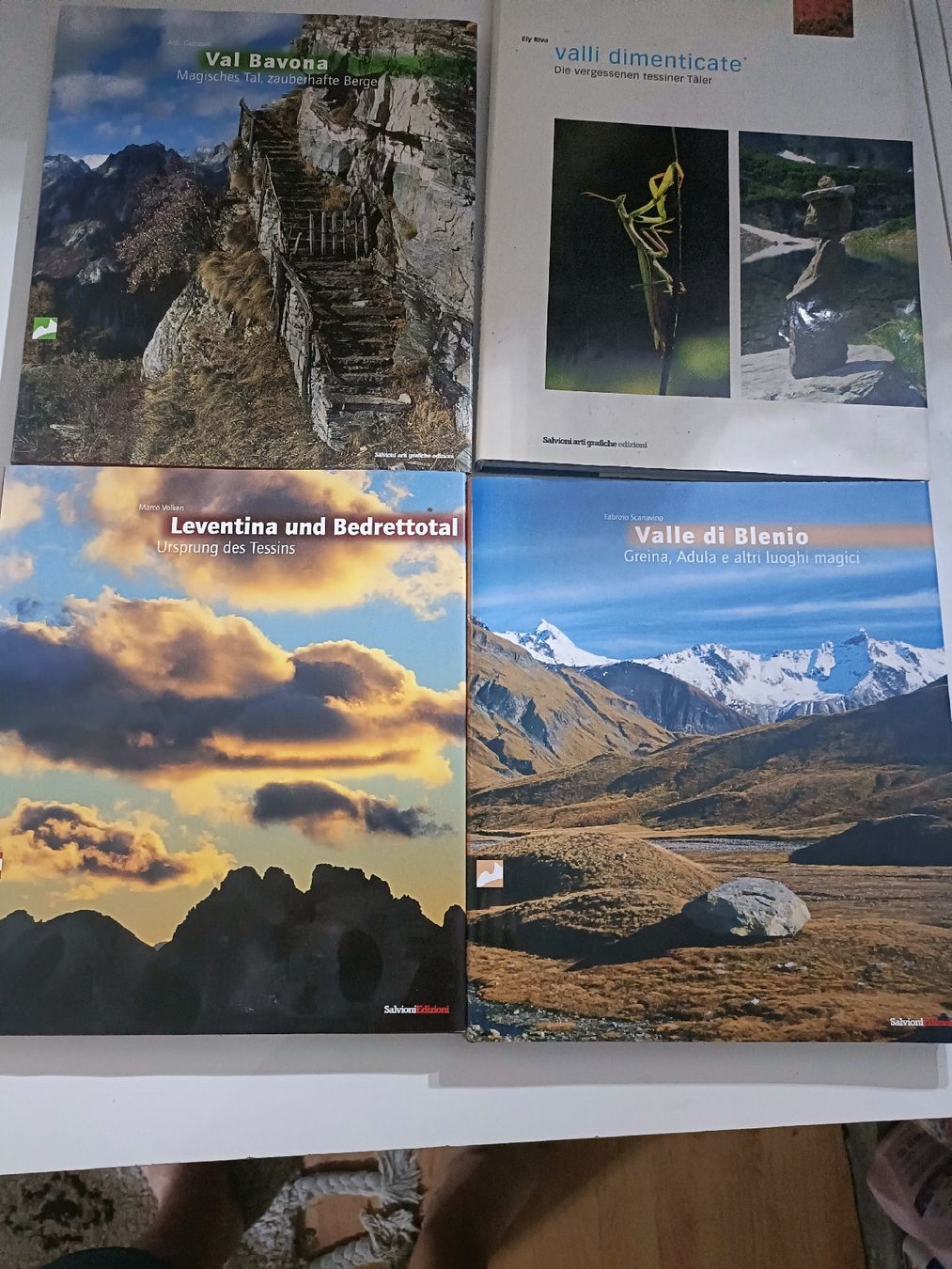 Libri: 4 Bergbücher A4 über Tessiner Berge – Usato da Mesocco venduto da andergia