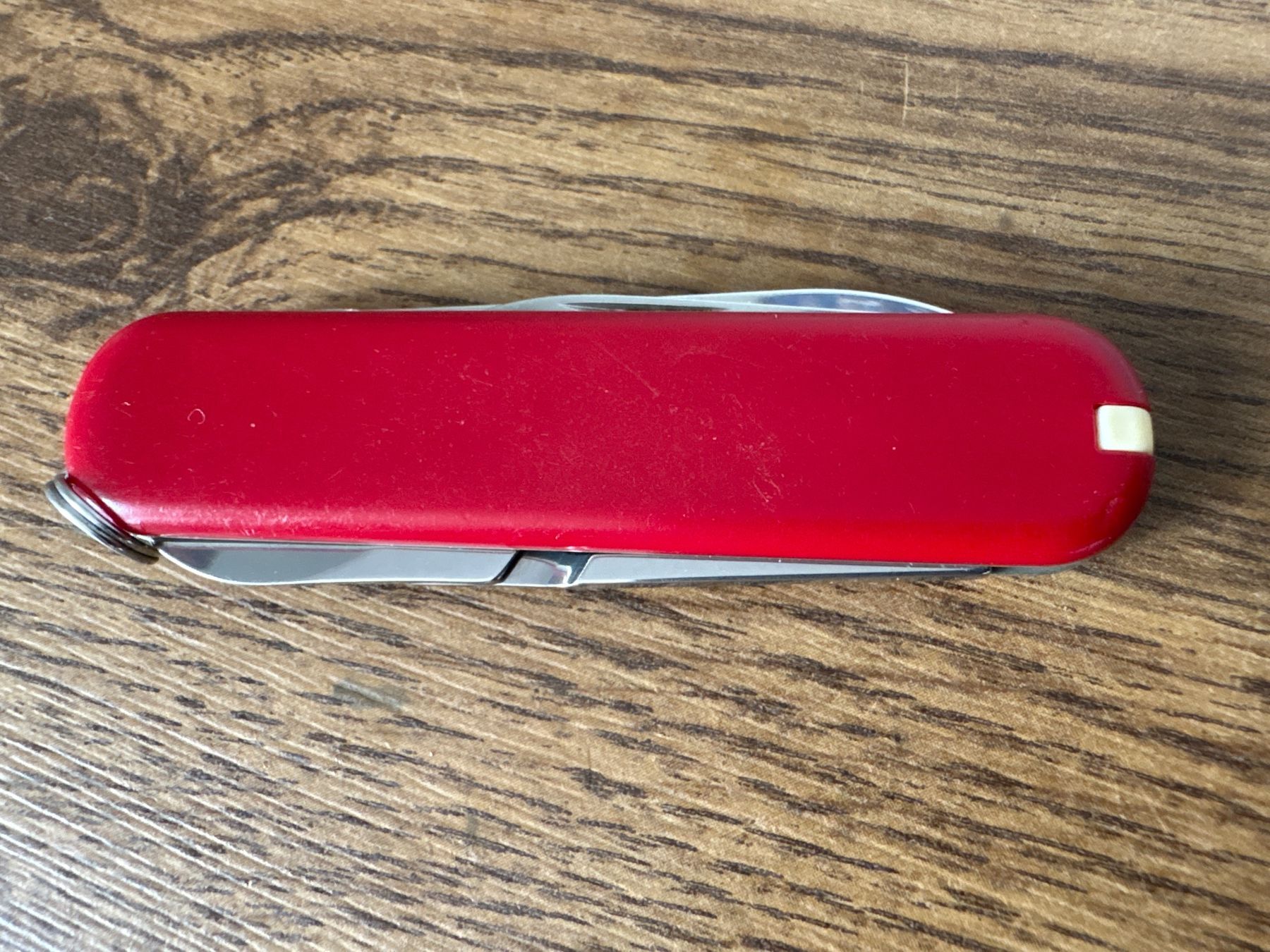 Victorinox Coltelli tascabile: VICTORINOX - Ambassador - Sackmesser – Usato da Andwil SG venduto da Rainboli 9