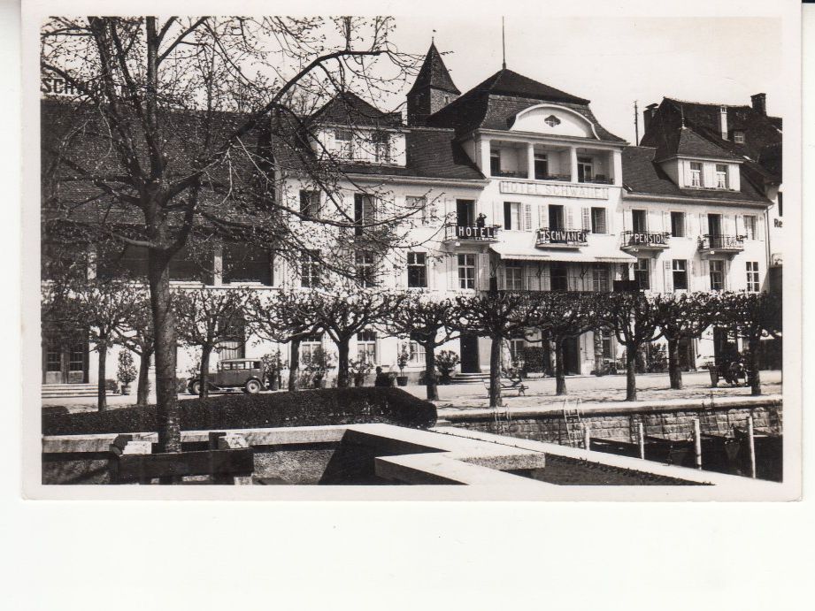 Cartoline postali: Rapperswil Schwanen 1948 – Usato da Bürglen TG venduto da StampGraf