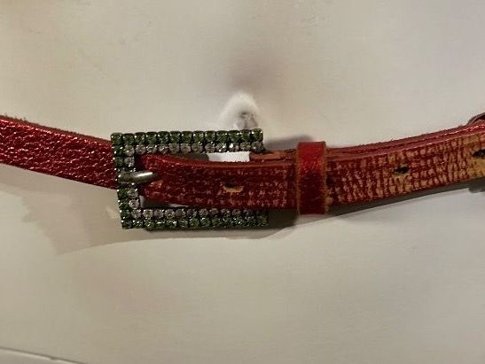 Miss Sixty Gürtel: Miss Sixty | Gürtel | rot | Gr. 95 – Gebraucht aus Kilchberg ZH von nad_6dwp