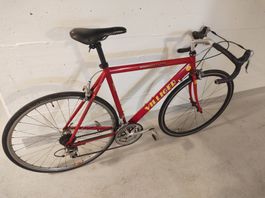 Rennrad Villiger Omnium Herren Rennrad in gutem Zustand