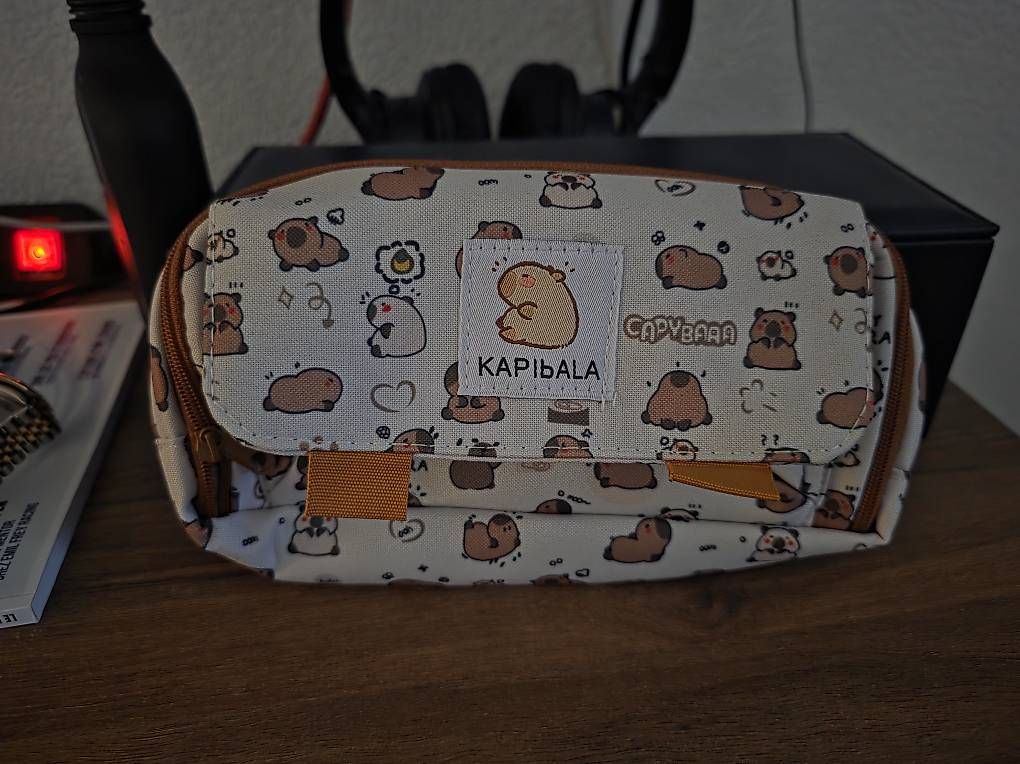 Hüte, Mützen & Caps: Capybara  – Gebraucht aus Carouge GE von gaomadal 3