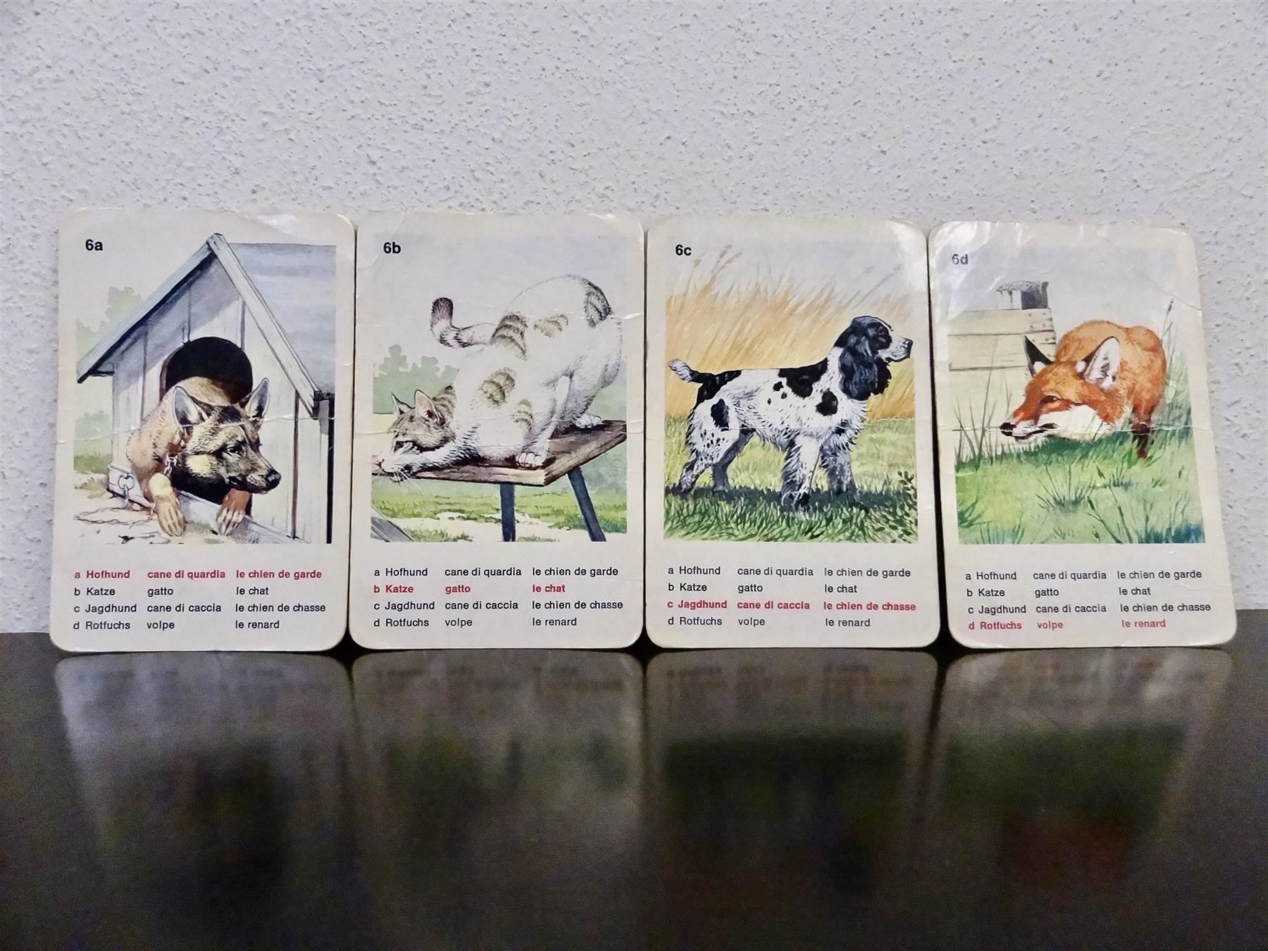 Ravensburger Spiele: schönes altes Quartett TIERWELT – Gebraucht aus Kerzers von wisaundso 8