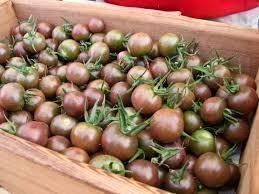Plantes & graines: Tomate cerise chocolat   RARE  10g – Neuf (Voir description) à Bremblens par FIBONACCI369 3