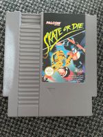 Skate or die NES