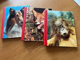 Vintage - Matzinger/ Tierbücher Kelloggs. 3 Stück