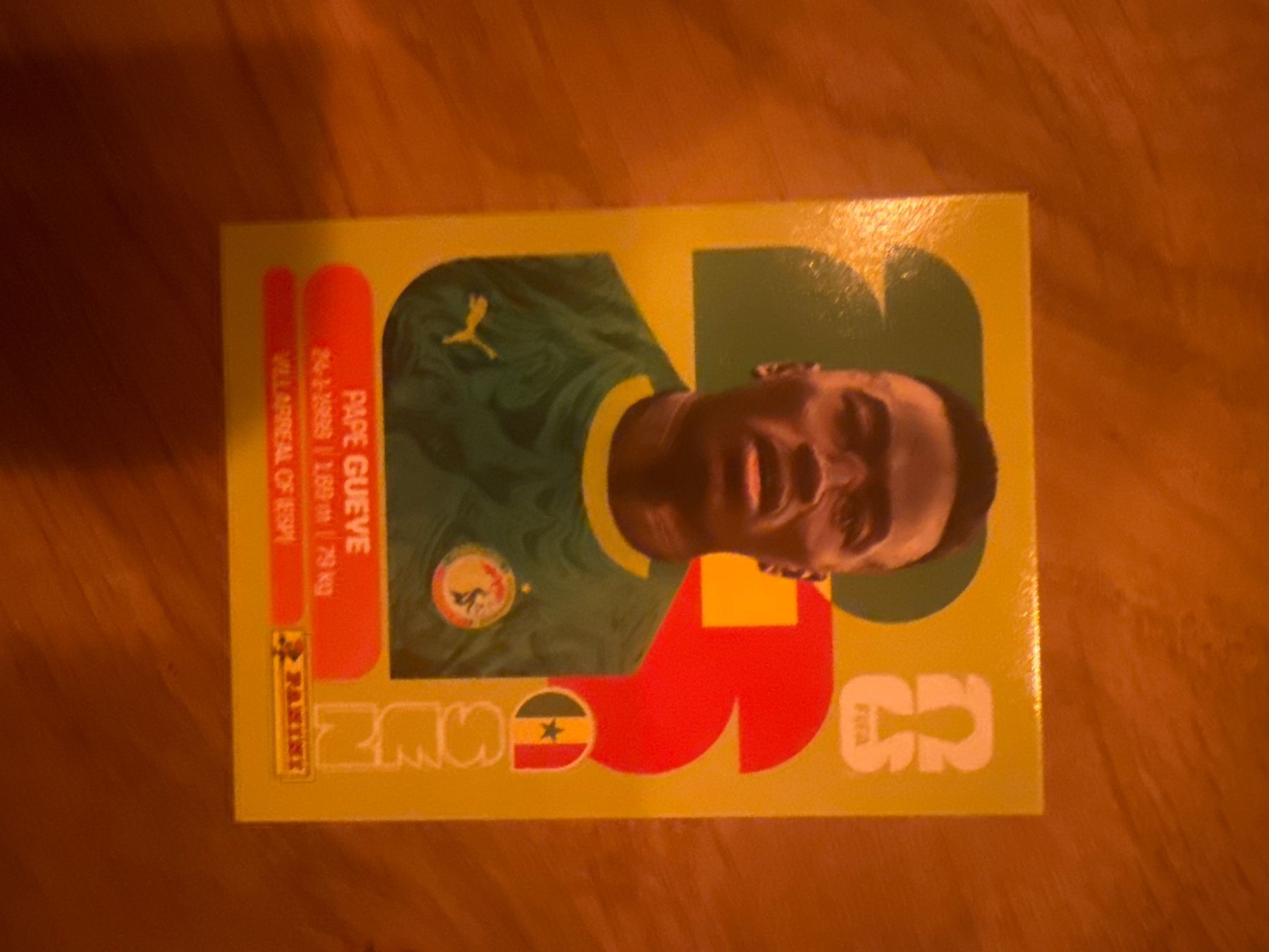 Panini Carte collezionabili: Panini – Usato da Langnau i. E. venduto da Acrjl