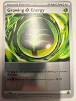 Growing Energy POR086 EN - Perfect Order Leaf Energy Reverse
