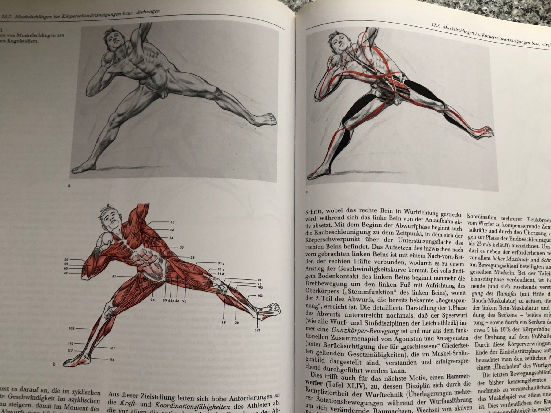 Bücher: Funktionelle und beschreibenden Anatomie, Uni, Studium – Gebraucht aus Buchs ZH von krenzi 1