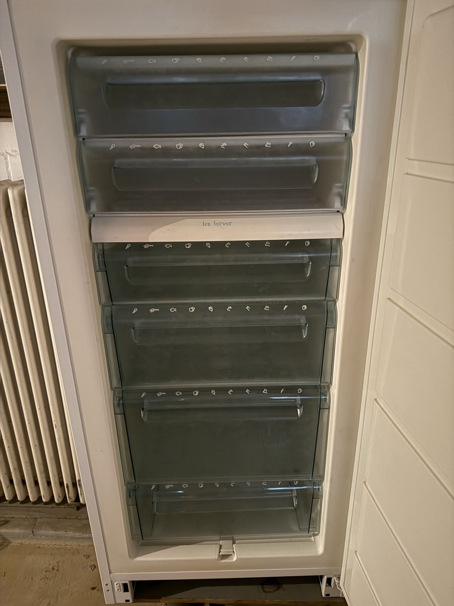Congelatori: Gefrierschrank Elektrolux – Usato da St. Margrethen SG venduto da meg_6b9w 1