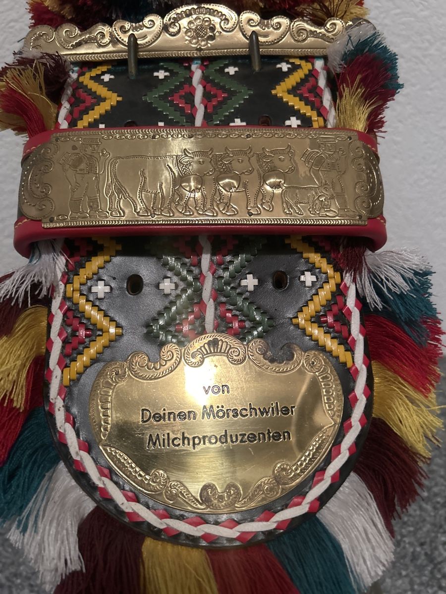 Campanacci mucche: Schöne Trychel Glocke mit Lederband & Gravur – Usato da Mörschwil venduto da philmensa 1