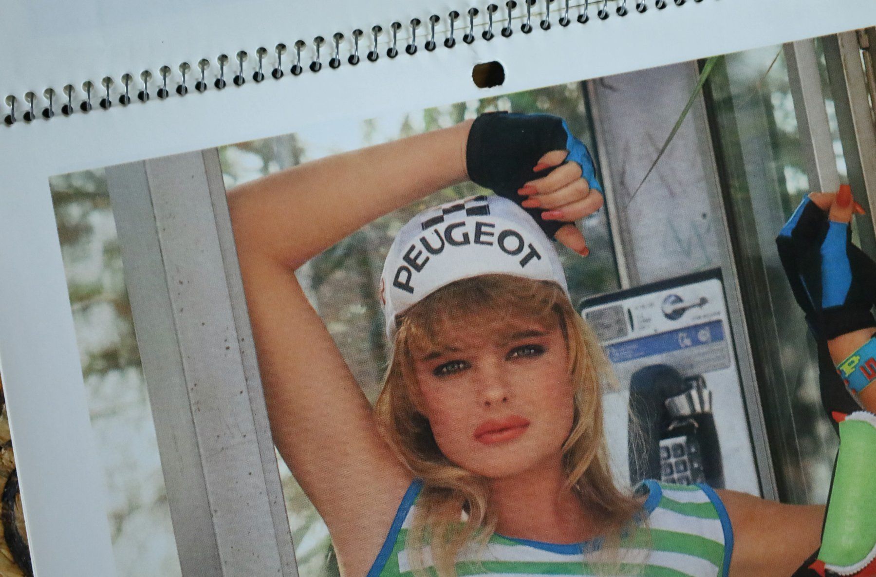 Playboy Calendari: PLAYBOY Kalender 1990 mit Erika Eleniak – Usato da Birrwil venduto da brandschatz_birrwil 2