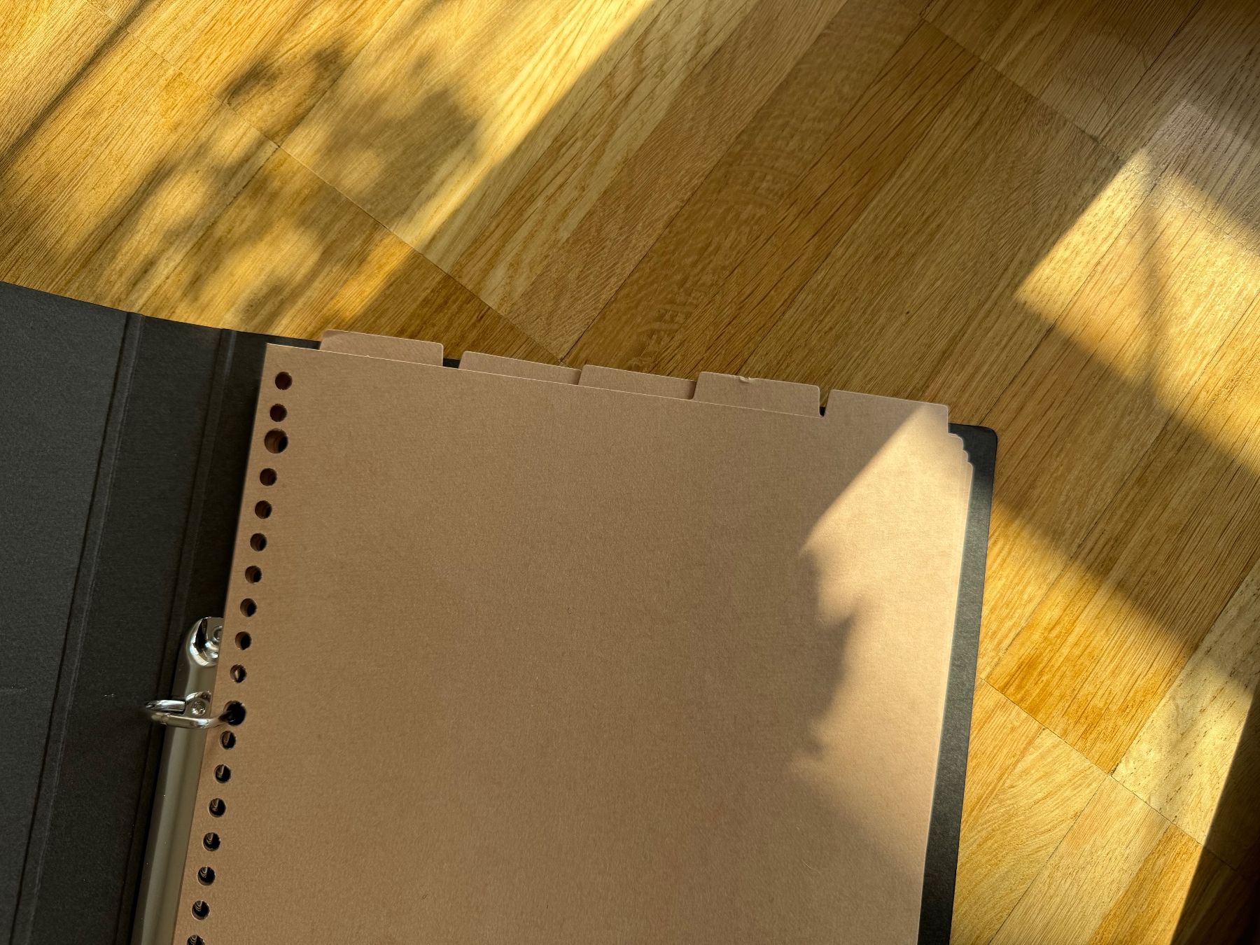 Raccoglitori: MUJI Ring Binders - A4 - Dark grey – Usato da Fribourg venduto da mariedw 4