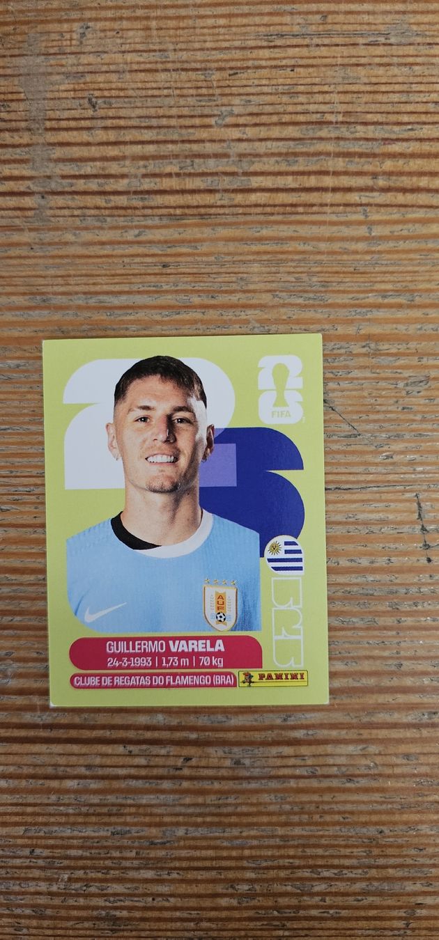 Panini Cartes à collectionner: Fifa World Cup Panini URU 8 – Neuf avec emballage d'origine à Biel VS par volcom8702
