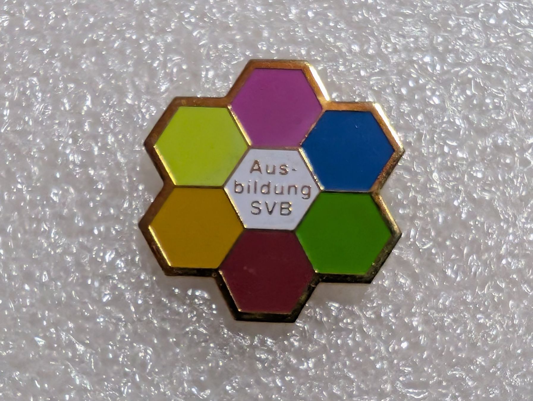 Placchette & Badge: Ansteckpin 224: SVB Ausbildung – Usato da Oppligen venduto da Pin-Fall-Shop