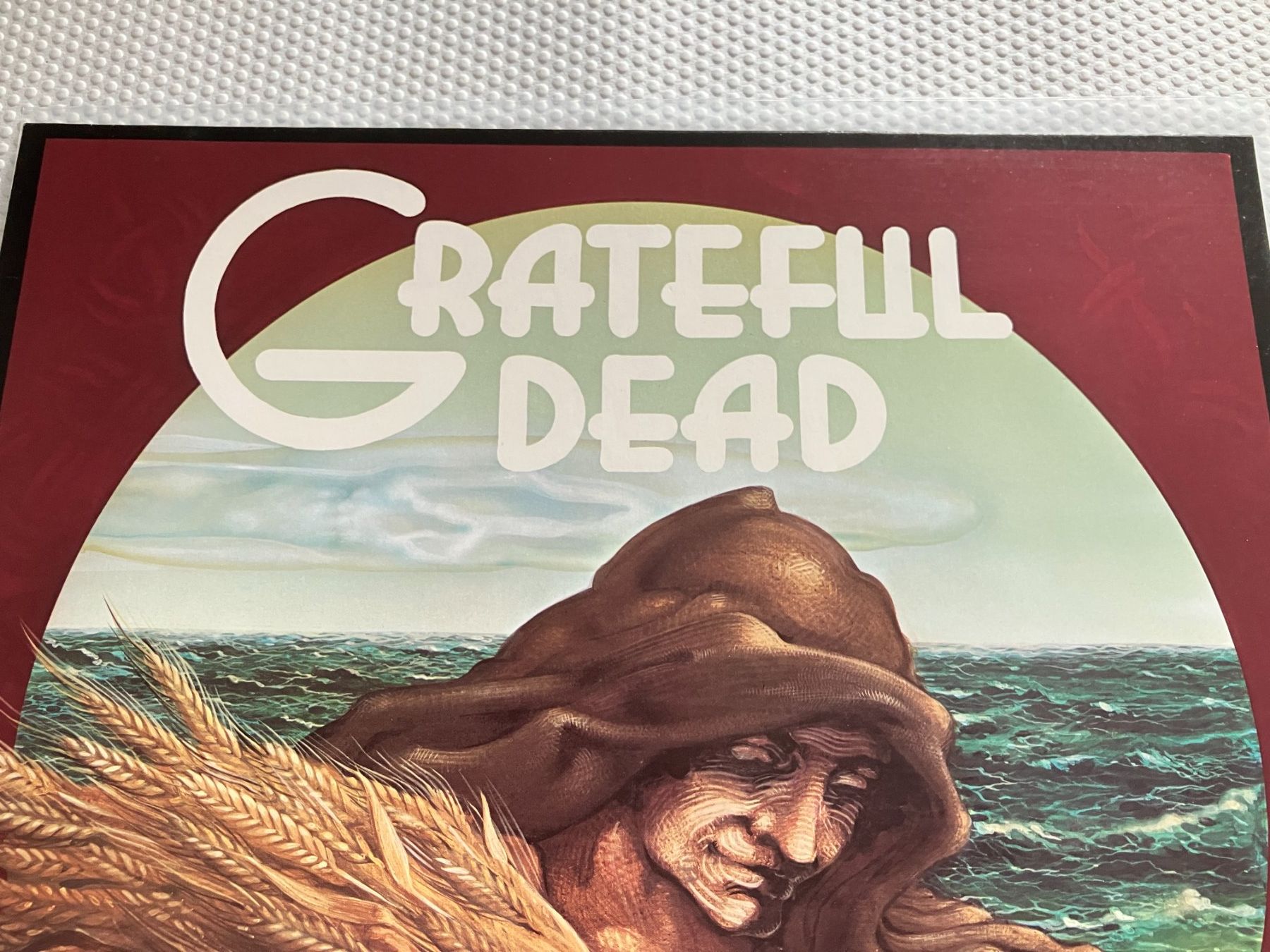 Dischi in vinile: The Gratefuld Dead – Usato da Aarwangen venduto da Jukebox3 1