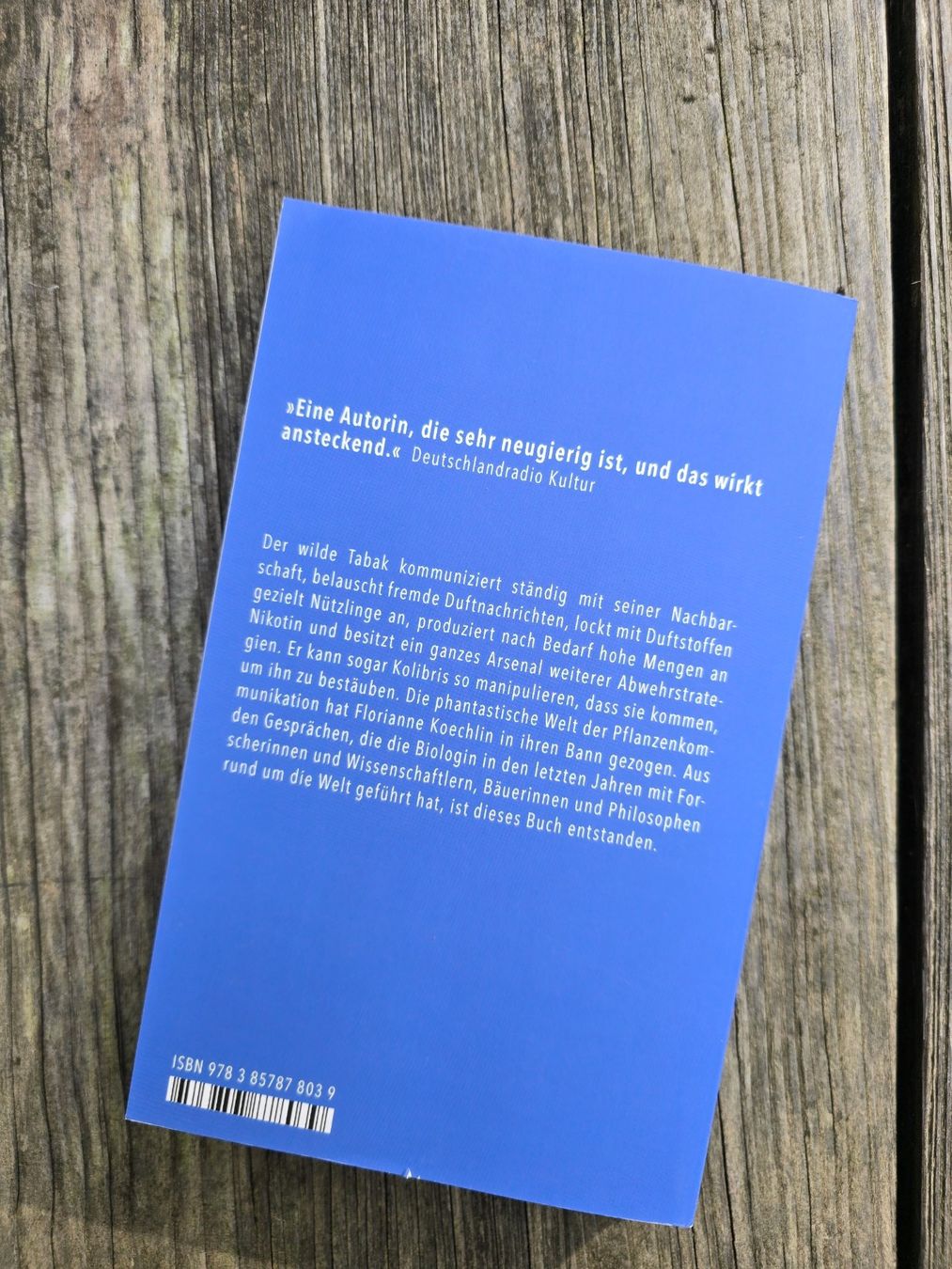 Libri: Buch: Schwatzhafte Tomate, wehrhafter Tabak – Nuovo (secondo la descrizione) da Romanshorn venduto da Rachacha 3