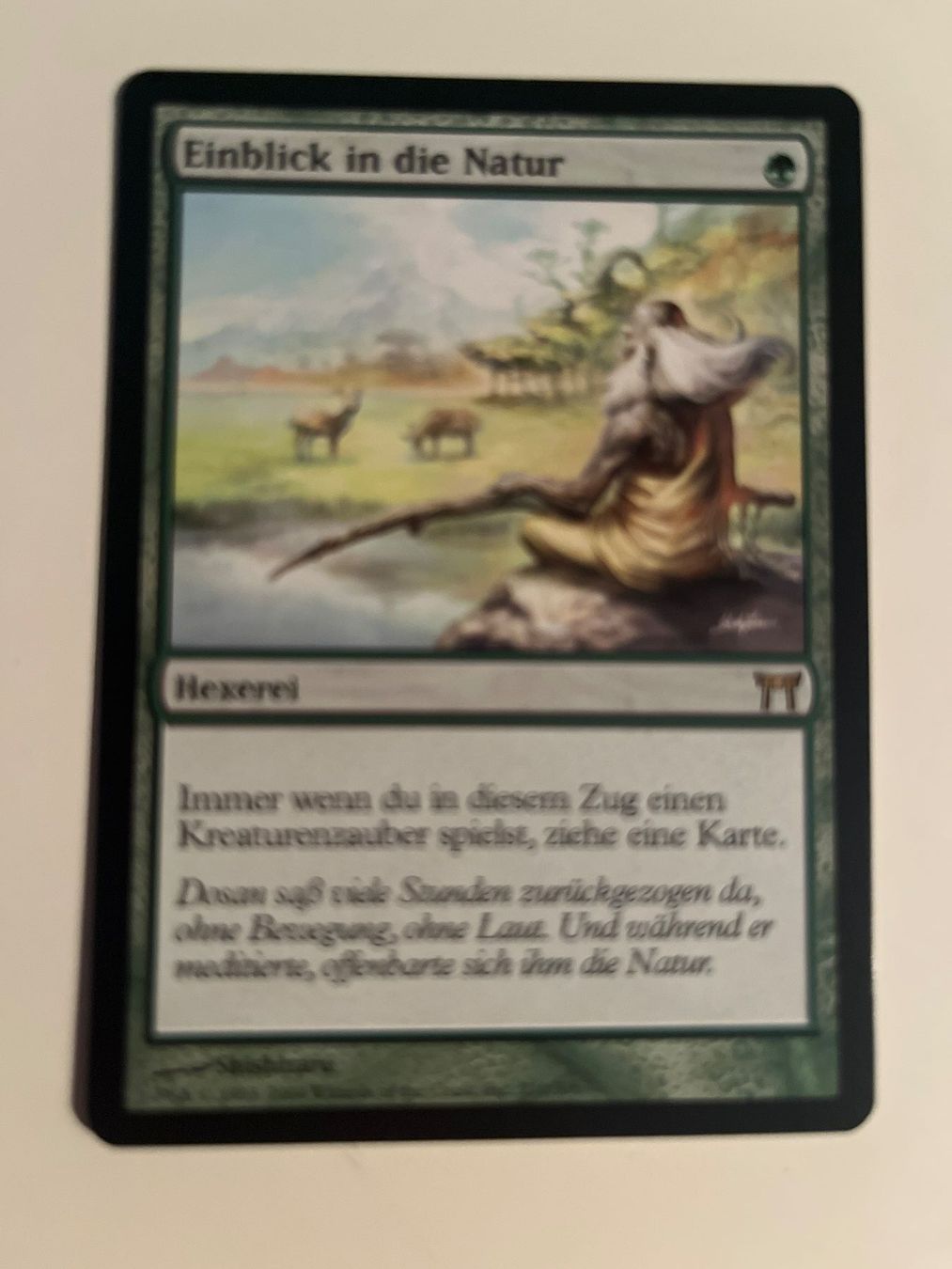 Magic The Gathering Carte collezionabili: 1 x Einblick in die Natur - Magic: The Gathering - MtG – Usato da Kriens venduto da Shadi1980
