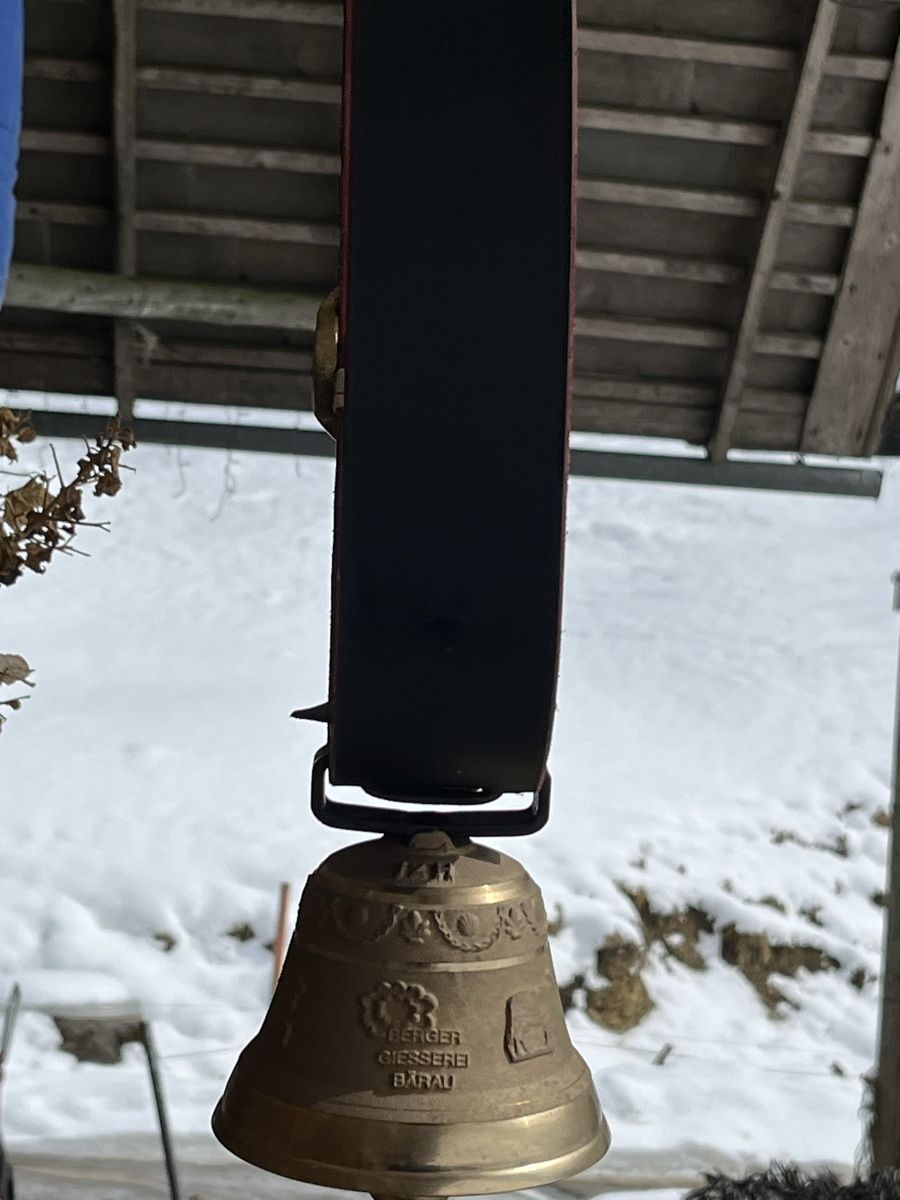 Glocken & Treicheln: Neues Glöggli – Neu (gemäss Beschreibung) aus Wasen im Emmental von weh_qg2d 2