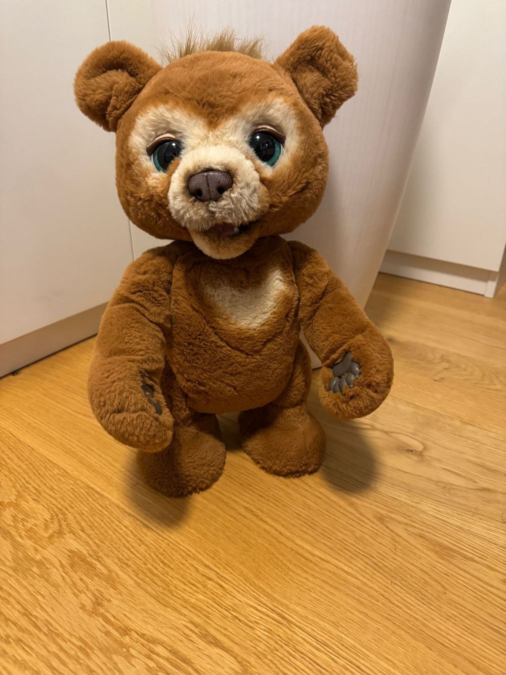 Giocattoli: Interaktiver Teddybär mit Geräuschen, ca. 44 cm, ab 1 CHF – Usato da Tägerwilen venduto da Swiss-Ricardo