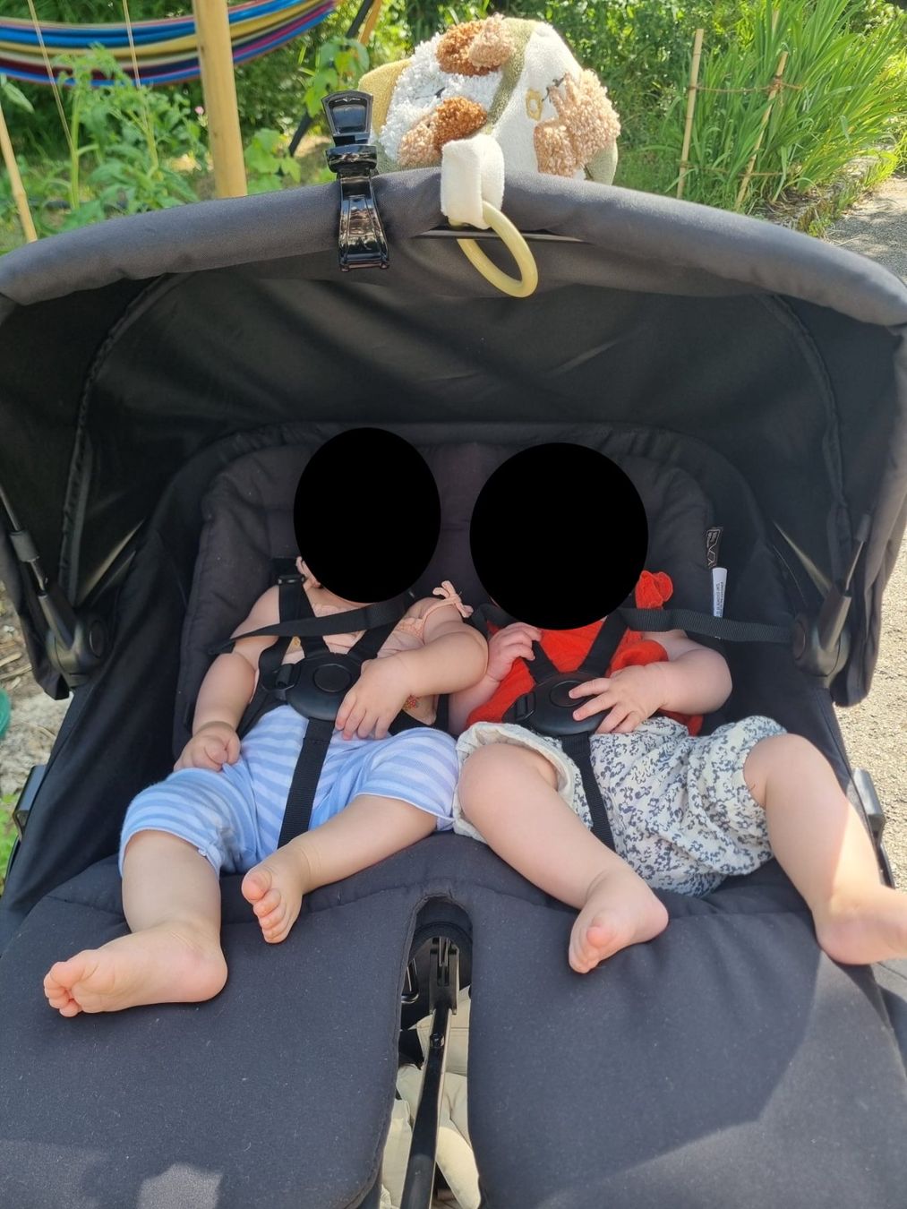 Mountain Buggy Carrozzine: Carrycot plus for twins mountain buggy – Usato da Chêne-Bourg venduto da livnorway 2