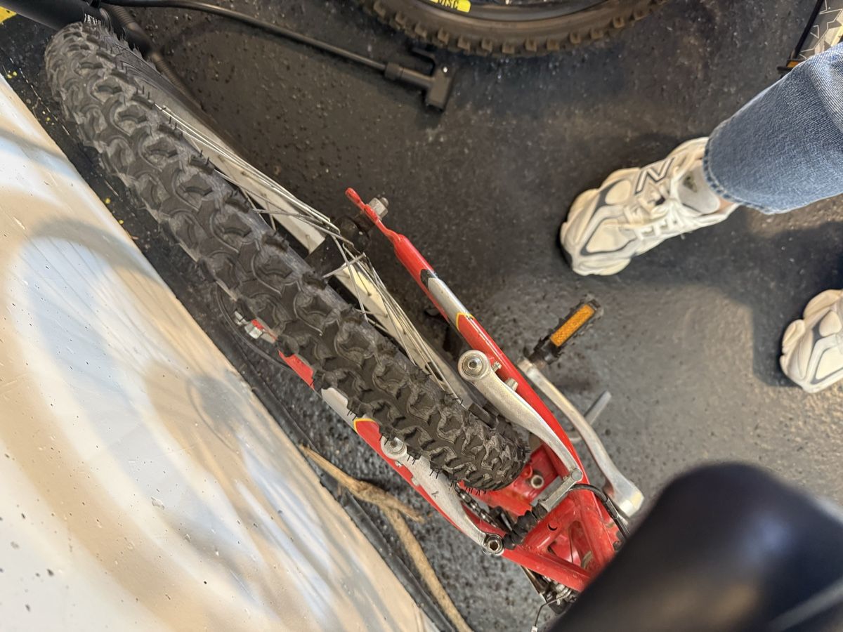 Scott Velos: Scott Count 75, mountain bike per bambini, usata – Gebraucht aus Cureglia von Zucchi1 2