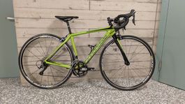 Cannondale Synapse Hi-Mod Carbon, 48er Rahmen