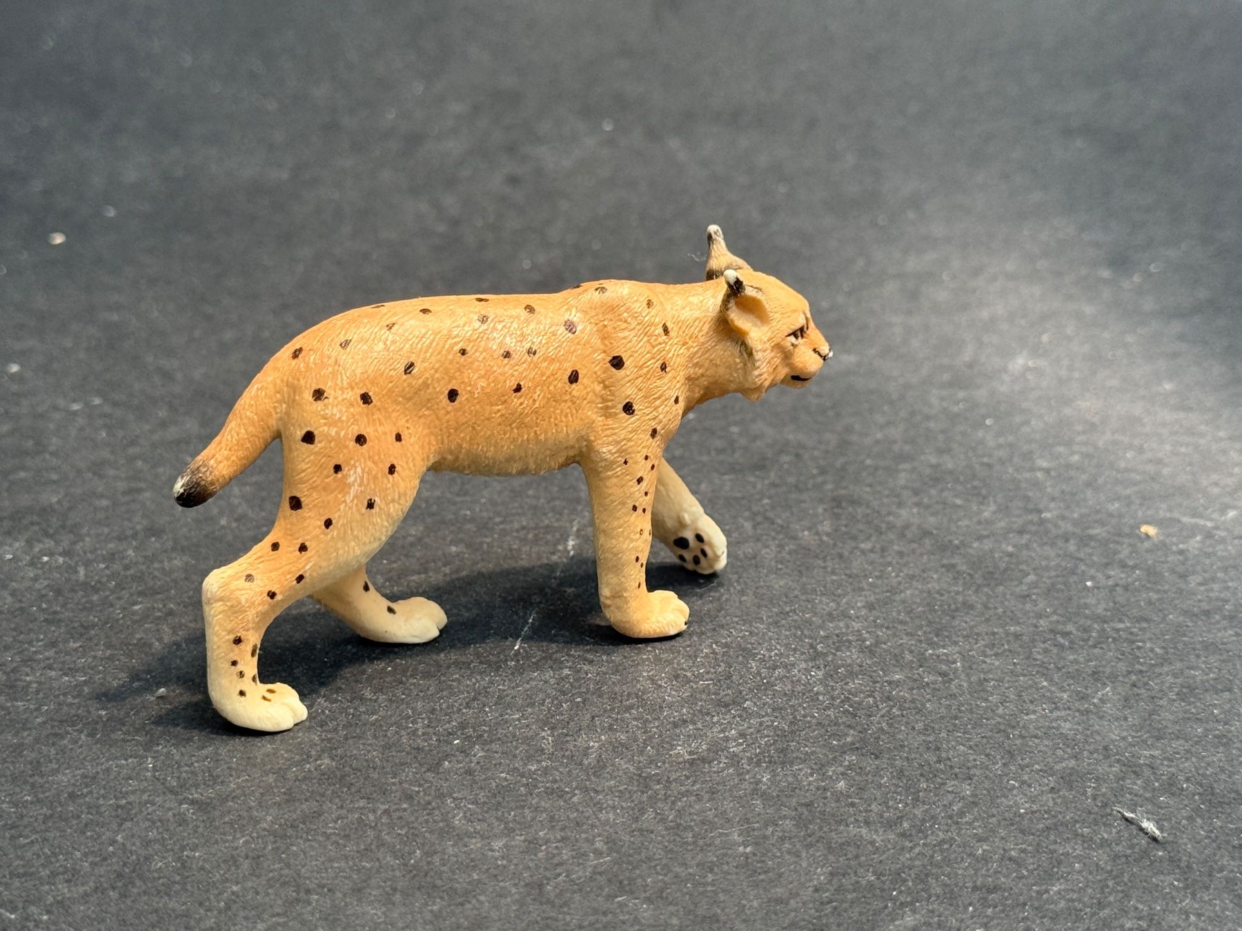 Schleich Statuette: Schleich Luchs Luchsweibchen – Usato da Ennetbaden venduto da mapa05 5