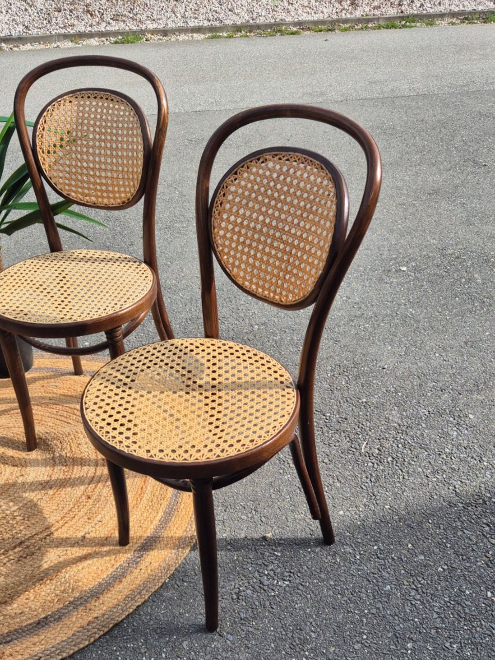 Sedie: Chaises bistrot canage  RADOMSKO ZPM – Usato da Fully venduto da tameab 1