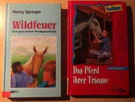 Buch-Set (Wildfeuer/Das Pferd ihrer Träume)