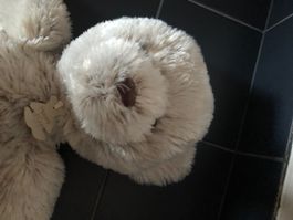 Plüschtier bär